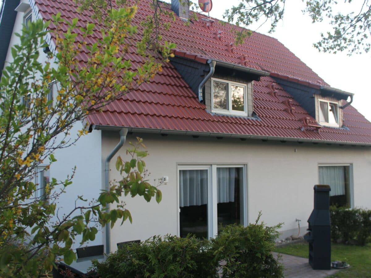 Rückseite des Ferienhauses Rügenrobbe